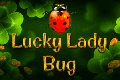 Lucky Lady Bug